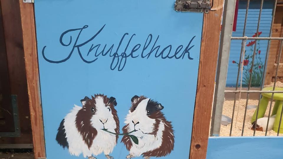 foto van de knuffelhoek